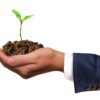 what-is-lead-nurturing