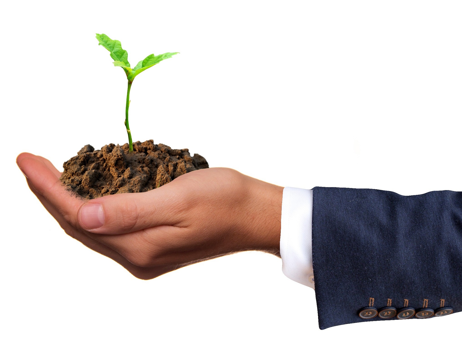 what-is-lead-nurturing