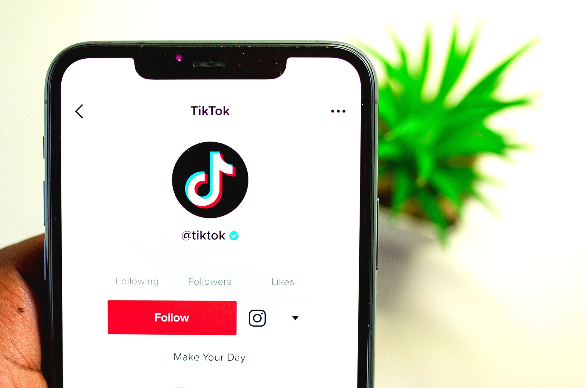 tiktok-advertisement